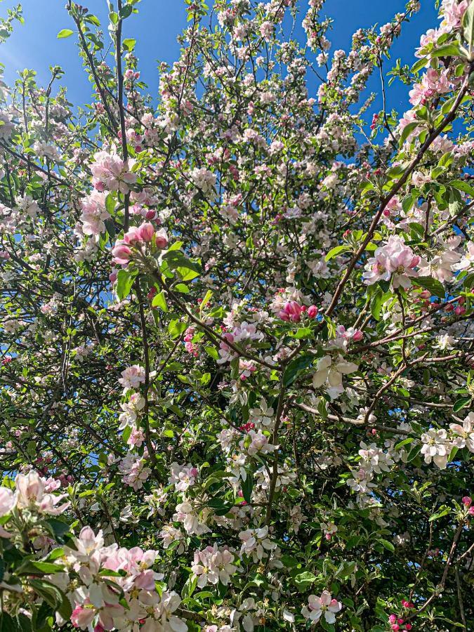 Holiday Home Les Plachettes Flobecq Esterno foto