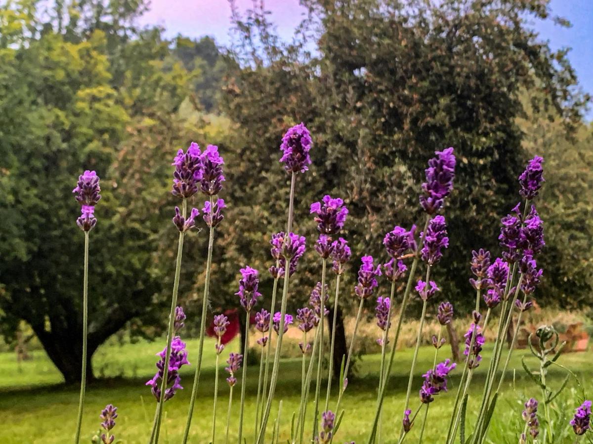 Holiday Home Les Plachettes Flobecq Esterno foto