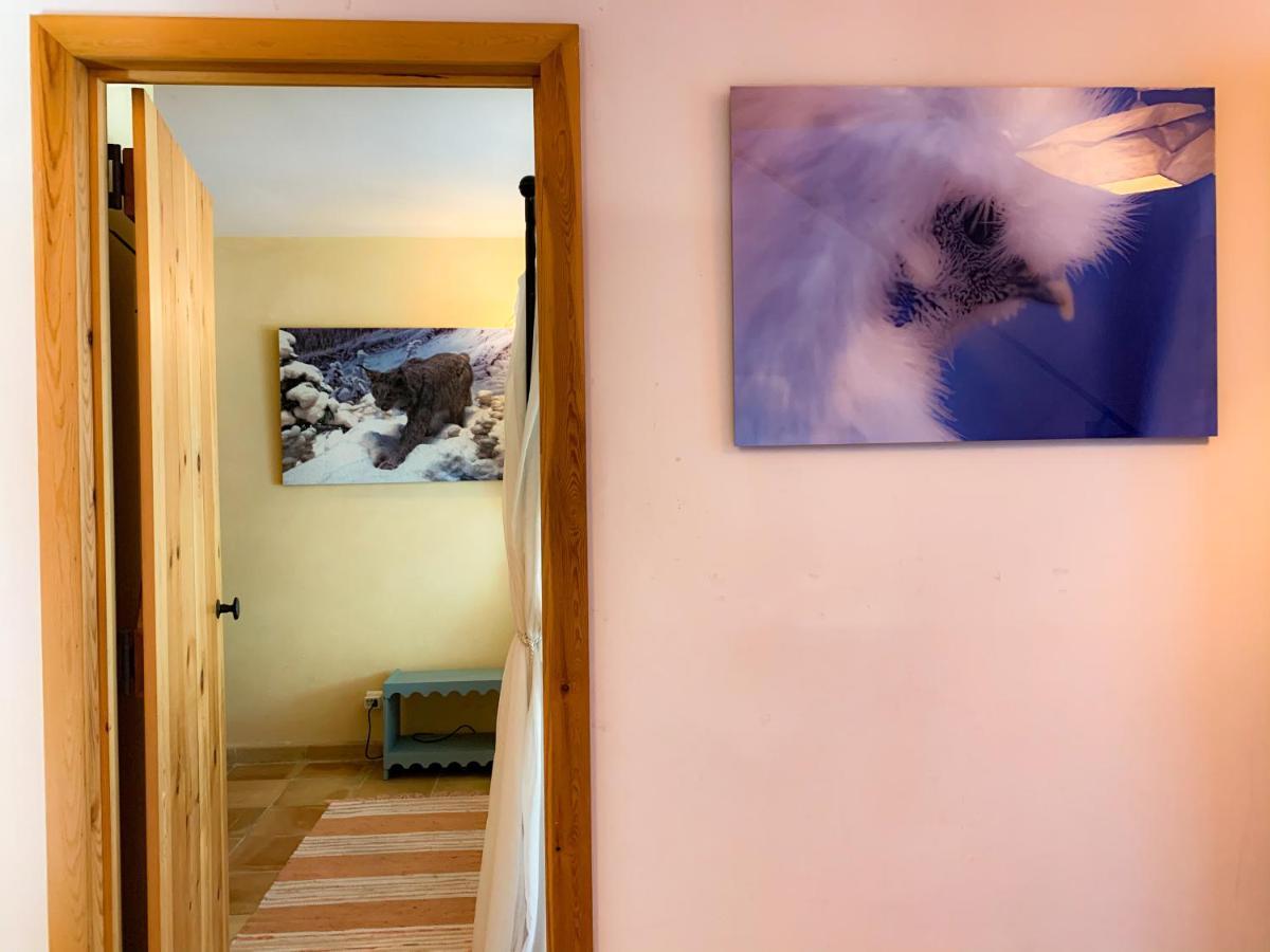 Holiday Home Les Plachettes Flobecq Esterno foto